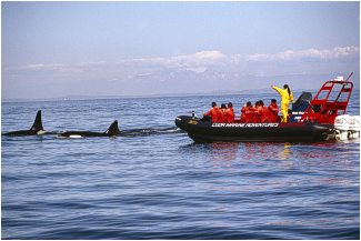 Cuda Marine Adventures